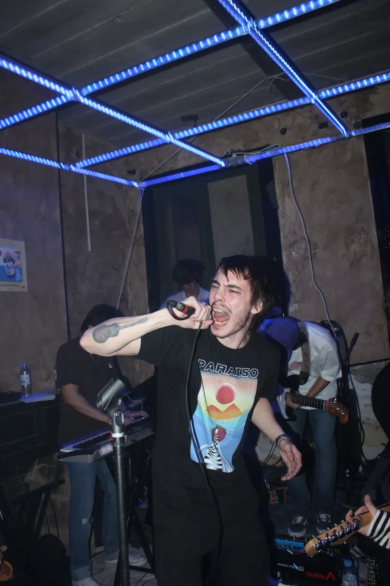 Anexo en directo